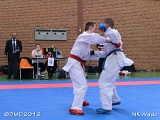 dmd20120401__NKWado-1389