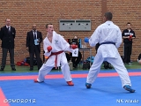 dmd20120401__NKWado-1390