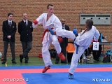 dmd20120401__NKWado-1394