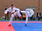 dmd20120401__NKWado-1397