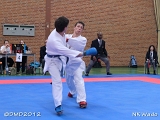 dmd20120401__NKWado-1401