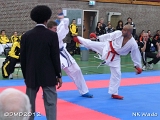 dmd20120401__NKWado-1422