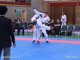 dmd20120401__NKWado-1435