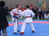 dmd20120401__NKWado-1446