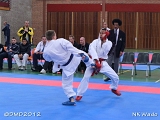 dmd20120401__NKWado-1463