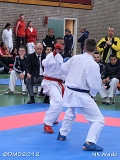 dmd20120401__NKWado-1467