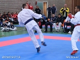 dmd20120401__NKWado-1469