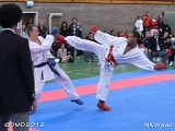 dmd20120401__NKWado-1470