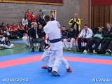 dmd20120401__NKWado-1472