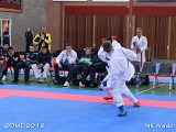 dmd20120401__NKWado-1480