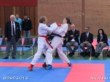 dmd20120401__NKWado-1502