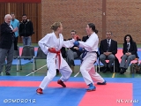 dmd20120401__NKWado-1504