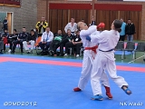 dmd20120401__NKWado-1509