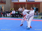 dmd20120401__NKWado-1511