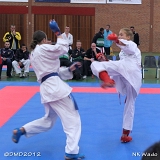 dmd20120401__NKWado-1518