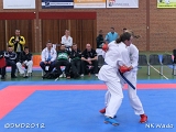 dmd20120401__NKWado-1519