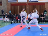 dmd20120401__NKWado-1521