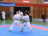 dmd20120401_NKWado_TD017