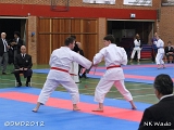 dmd20120401_NKWado_TD044