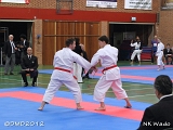 dmd20120401_NKWado_TD045