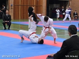 dmd20120401_NKWado_TD051