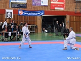 dmd20120401_NKWado_TD065