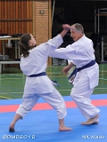 dmd20120401_NKWado_TD081