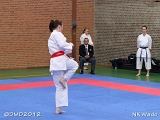 dmd20120401_NKWado-015