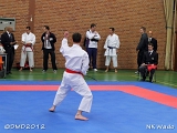 dmd20120401_NKWado-027