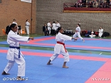 dmd20120401_NKWado-034