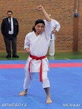 dmd20120401_NKWado-064