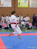 dmd20120401_NKWado-162