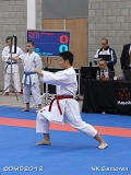 dmd20120205_NK044