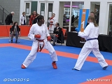 dmd20120205_NK195