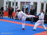 dmd20120205_NK196