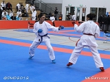 dmd20120205_NK232