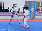 dmd20120205_NK234