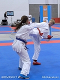 dmd20120205_NK244