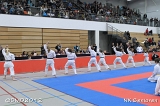 dmd20120205_NK272