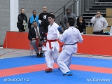 dmd20120205_NK287