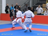 dmd20120205_NK288