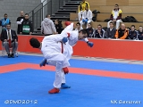 dmd20120205_NK293