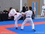 dmd20120205_NK294