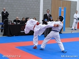 dmd20120205_NK295