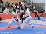 dmd20120205_NK461