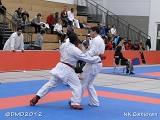 dmd20120205_NK464