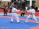 dmd20120205_NK524