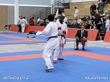 dmd20120205_NK528