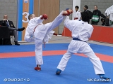 dmd20120205_NK531