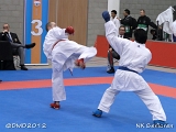 dmd20120205_NK532